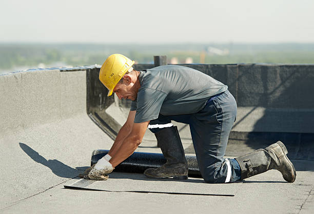 Best Insulation Installation Services in Adrian, MN