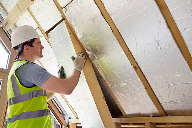 Best Residential Insulation in Adrian, MN